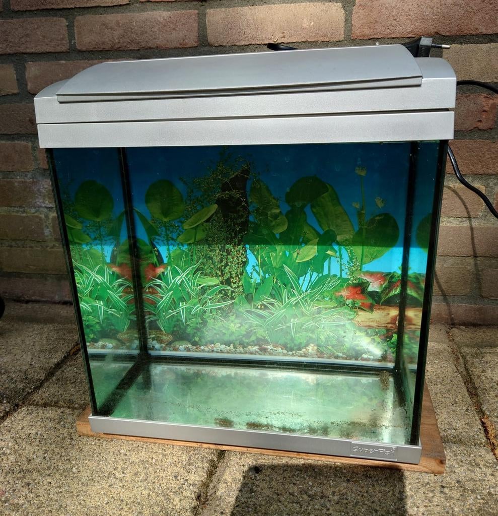 Aquarium merk Superfish  25 l., Ophalen, Leeg aquarium