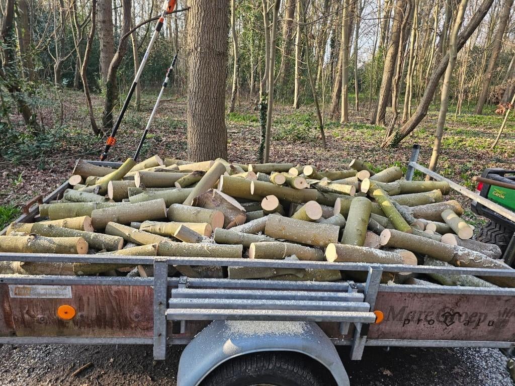 Haard hout brandhout Esdoorn, Minder dan 3 m³, Ophalen of Verzenden, Overige houtsoorten, Blokken