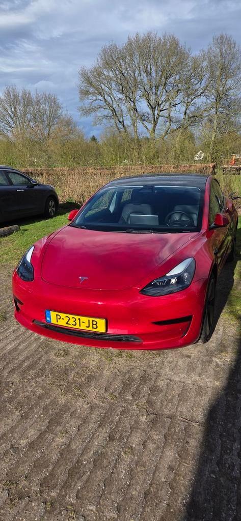 Tesla Model 3 2022 Rood LFP 60 kWh EAP Ryzen/warmtepomp, Auto's, Tesla, Automaat, Achterwielaandrijving, 258 pk, Elektrisch