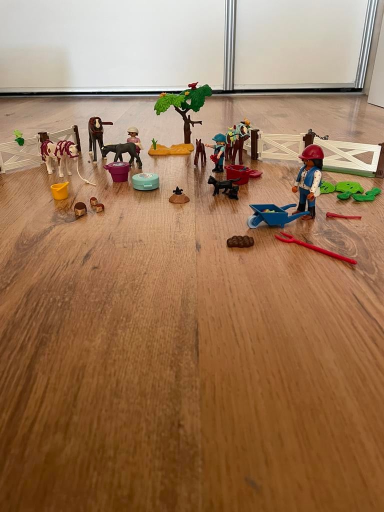 Playmobil paardrijclub 9262, Ophalen of Verzenden, Gebruikt, Complete set