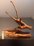 Uniek stuk Kienhout / Driftwood / Spiderwood, Hout Decoratie, Ophalen of Verzenden, Zo goed als nieuw, Leeg aquarium
