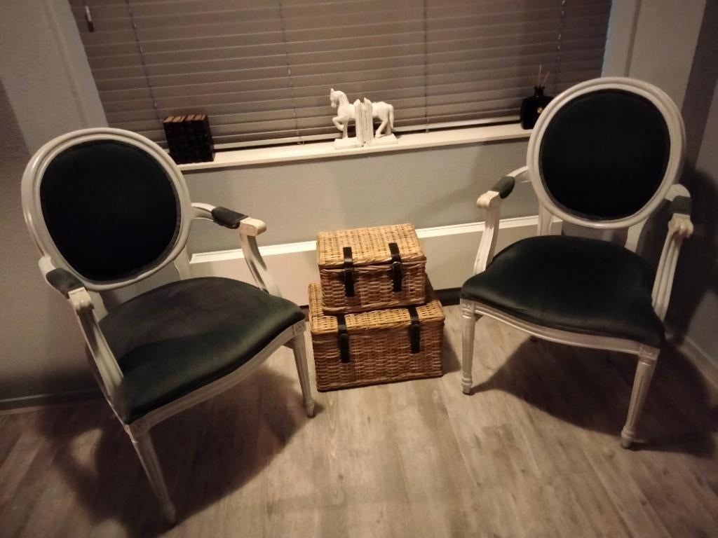 2 stoelen Barok muisgrijs, Huis en Inrichting, Stoelen, Ophalen, Zo goed als nieuw, Grijs, Stof