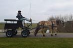 Menwagen pony, Gebruikt, Overige typen, Paard of Pony