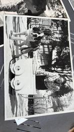 Kaart juliana sint bernard hond en kinderwagen, Ophalen of Verzenden, Zo goed als nieuw