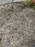 Gratis af te halen: +/- 15m2 Siersplit (wit/beige), Tuin en Terras, Grind, Keien en Split, Ophalen, Split