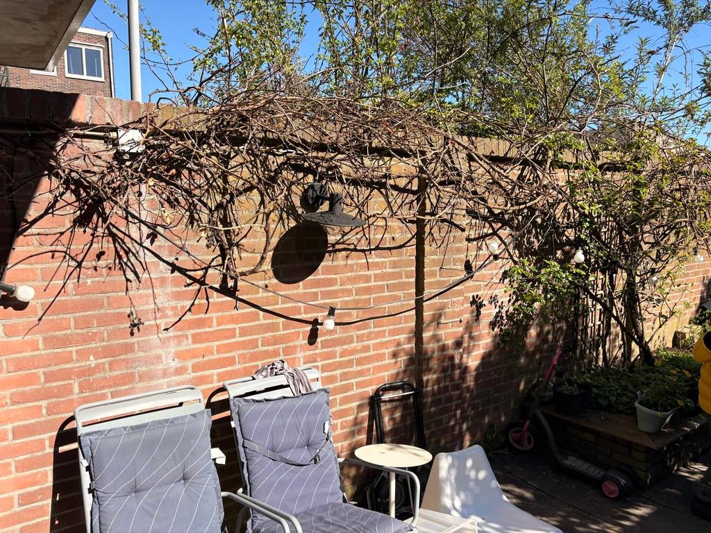 Prikkabel met 20 lampen, 10-12 meter, Tuin en Terras, Buitenverlichting, Ophalen, Kunststof, Gebruikt, Minder dan 50 watt