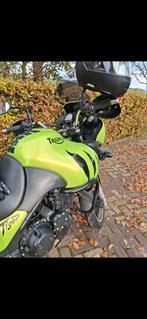 Triumph Tiger 955i (2002) met accessoires, Motoren, Motoren | Triumph, Handvatverwarming, Motorrijbewijs A, 3 cilinders, Particulier