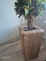 Kunstplant Croton met rotan pot, Ophalen of Verzenden
