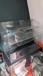 Cavia hok van glas, Ophalen, 110 cm of meer, 90 cm of meer, Hok