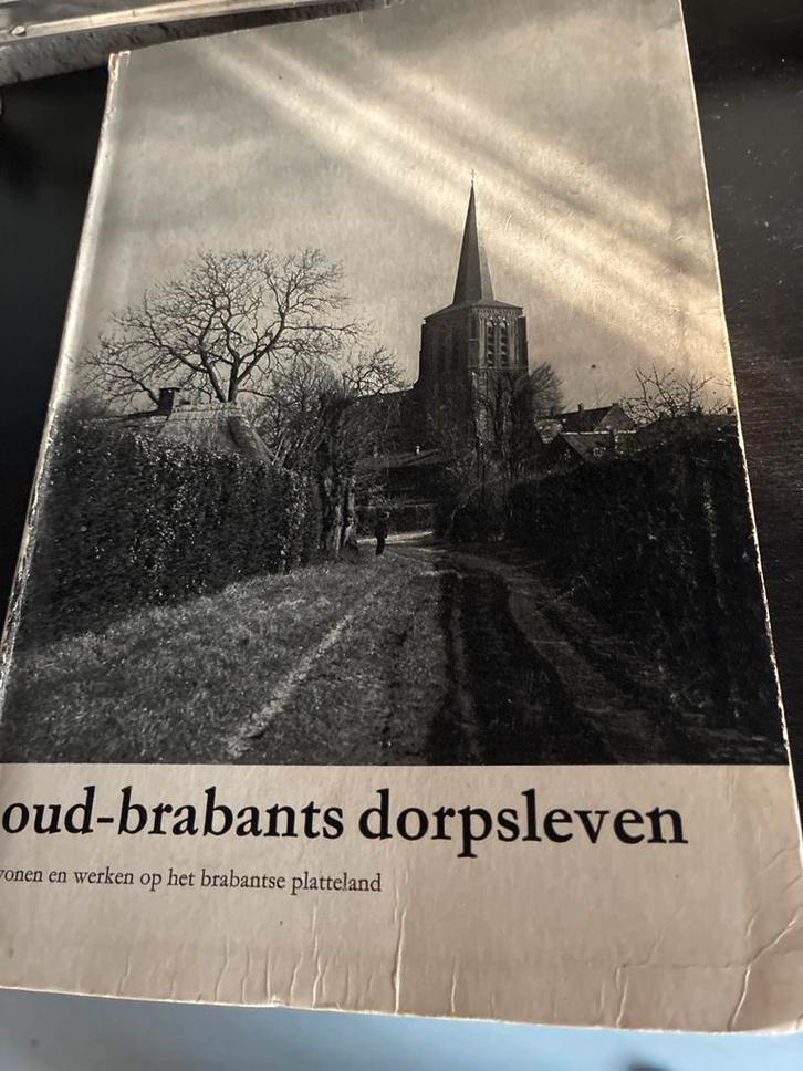 Oud-Brabants Dorpsleven: Wonen en Werken op het Platteland, Boeken, Geschiedenis | Stad en Regio, Gelezen, 20e eeuw of later, Ophalen of Verzenden