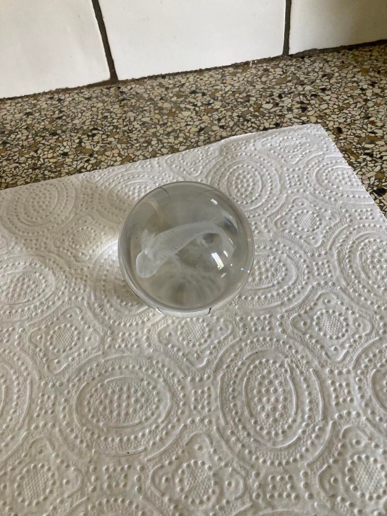 Massief glazen bol met vos, Ophalen of Verzenden