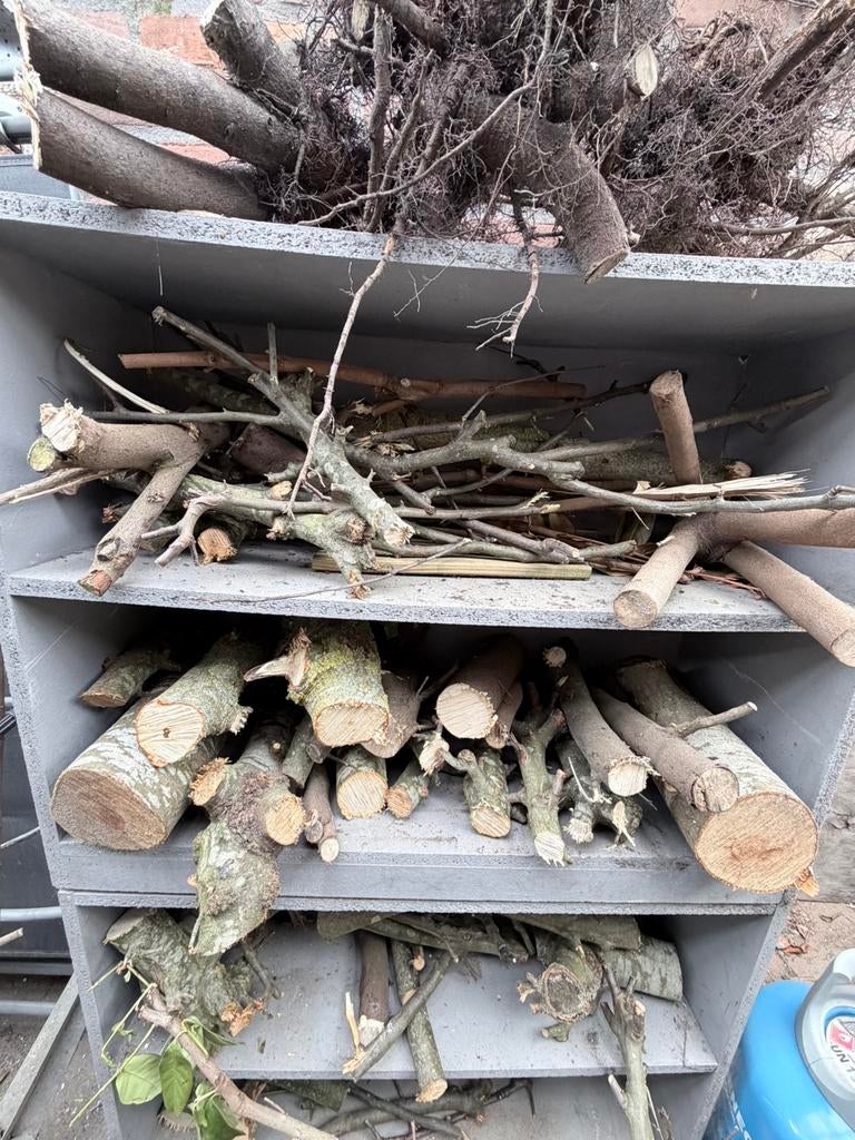 Gratis brandhout bomen en takken, zo gratis!, Minder dan 3 m³, Ophalen