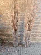 Glazen vazen 70 cm hoog met inhoud, Ophalen, Zo goed als nieuw