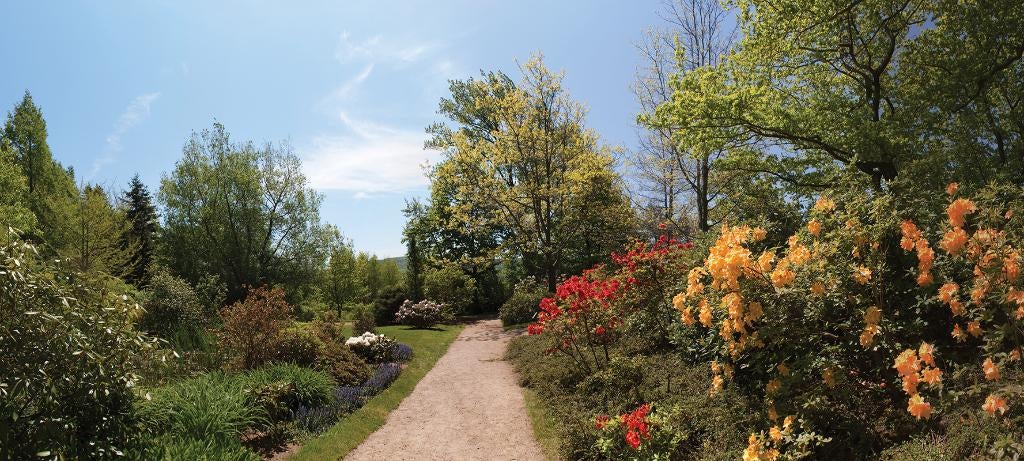 Tuinposter 180 x 400 cm (h x br.), Tuin en Terras, Verzenden, Nieuw