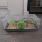 Hamsterkooi, Minder dan 60 cm, Kooi, Gebruikt, Minder dan 75 cm