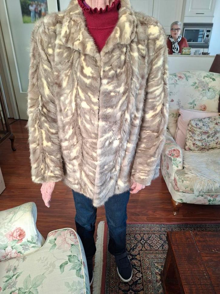 Echte bontjas creme/grijs gemêleerd gevoerd als nieuw !, Kleding | Dames, Jassen | Winter, Zo goed als nieuw, Maat 38/40 (M), Grijs