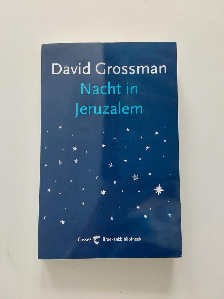 David Grossman : Nacht in Jeruzalem, Boeken, Wereld overig, Ophalen of Verzenden, Zo goed als nieuw, David Grossman