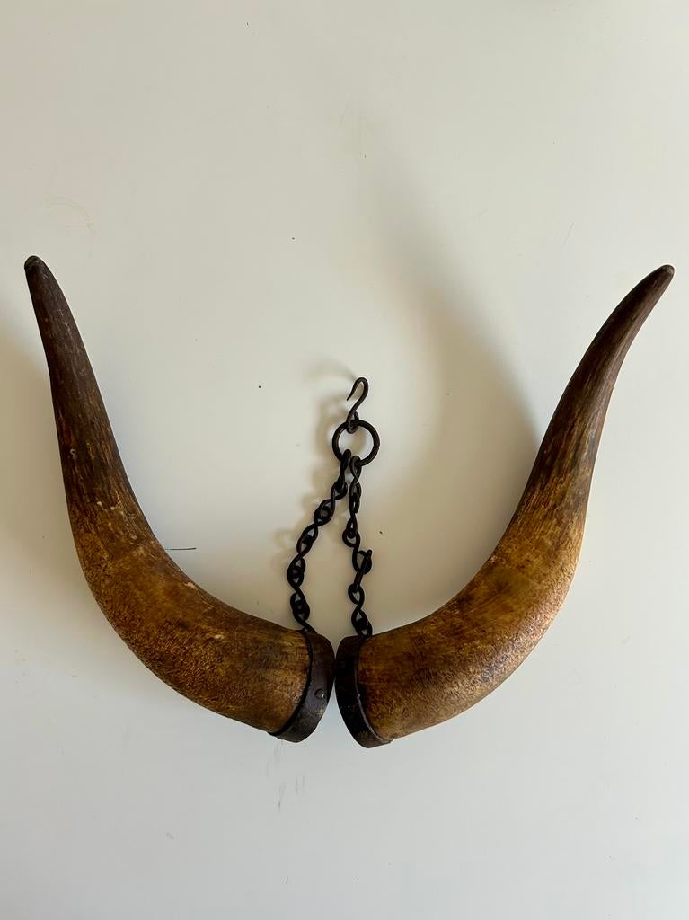 Fraaie hoorns, voorzien van smeedijzeren ringen en ketting, Antiek en Kunst, Ophalen of Verzenden