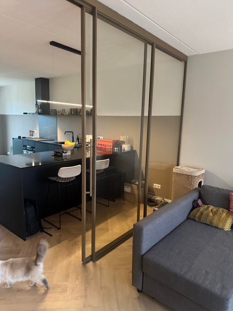 Glazen schuifdeuren met bronzen frame, Doe-het-zelf en Verbouw, Deuren en Horren, Ophalen, Gebruikt, Binnendeur, Glas