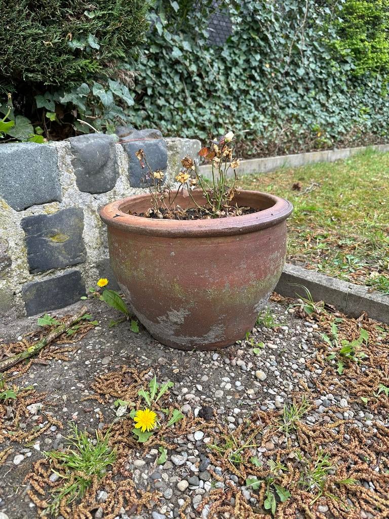 Set van 8 terracotta potten, Ophalen, Overige materialen, Gebruikt, Minder dan 60 cm