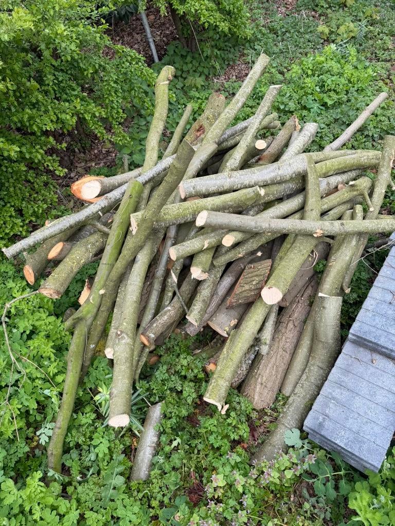 Ongeveer 1 kuub openhaardhout te koop, Minder dan 3 m³, Ophalen, Stammen