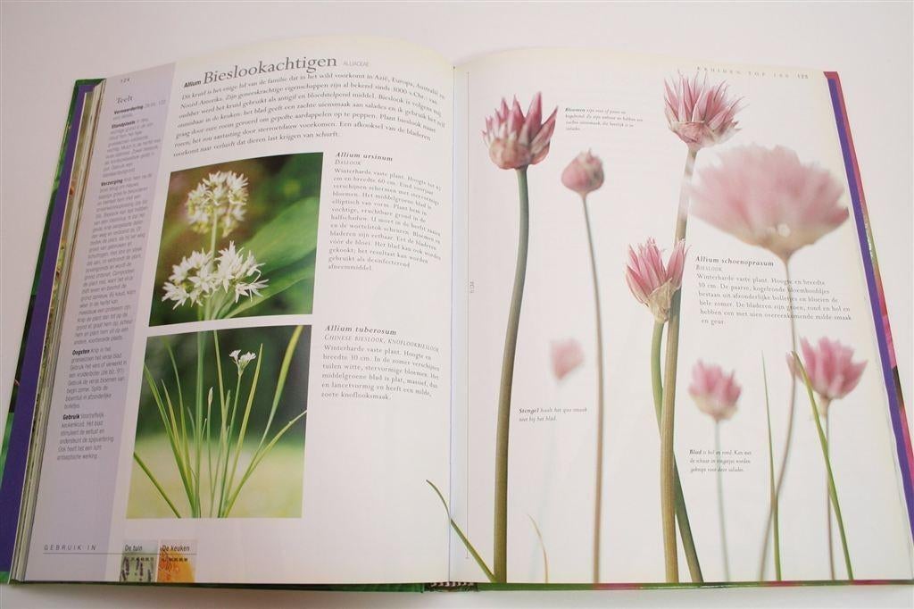 Jekka McVicar's Nieuwe Kruidenboek — Compleet Naslagwerk, Ophalen of Verzenden, Zo goed als nieuw
