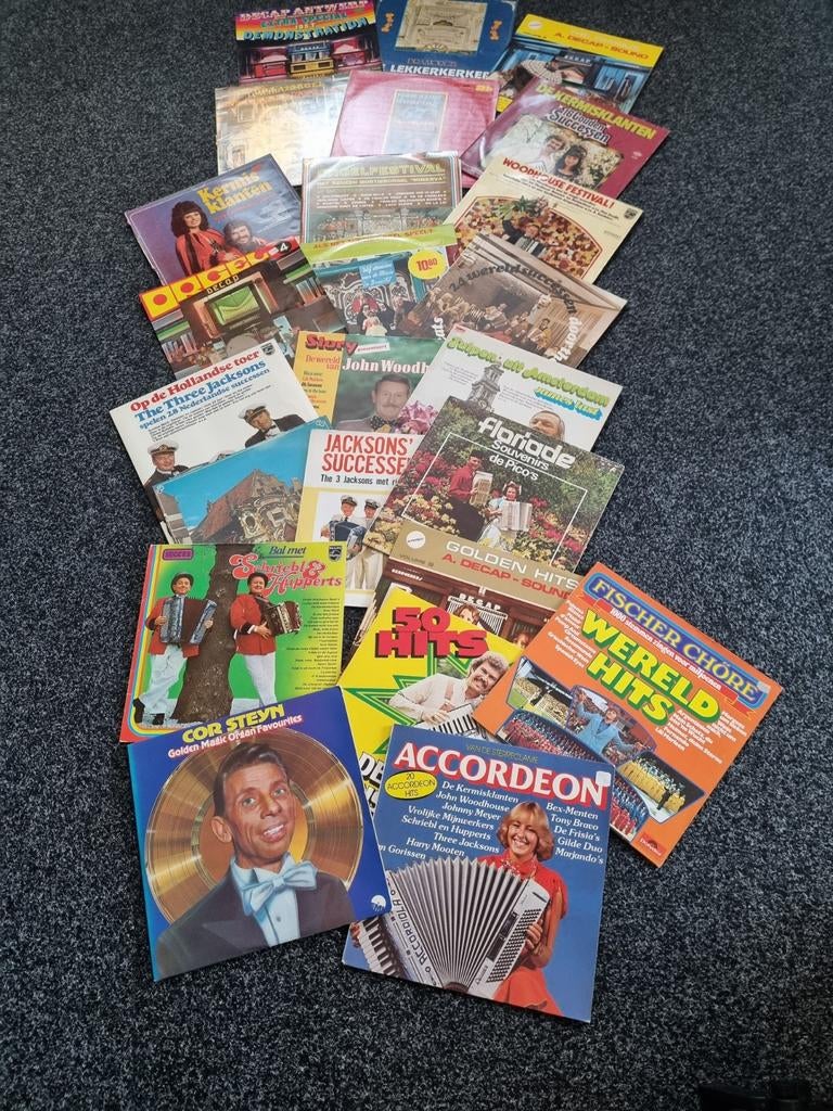 Grote partij vinyl platen - accordeonmuziek, Ophalen of Verzenden, Gebruikt, 12 inch