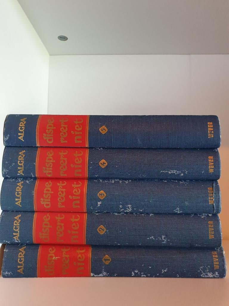 Dispereert niet: Twintig eeuwen historie van de Nederlanden, Ophalen of Verzenden, Gelezen, A. en H. Algra