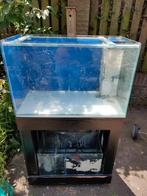 160 Liter zeeaquarium en Sump te koop, Ophalen, Gebruikt, Leeg aquarium