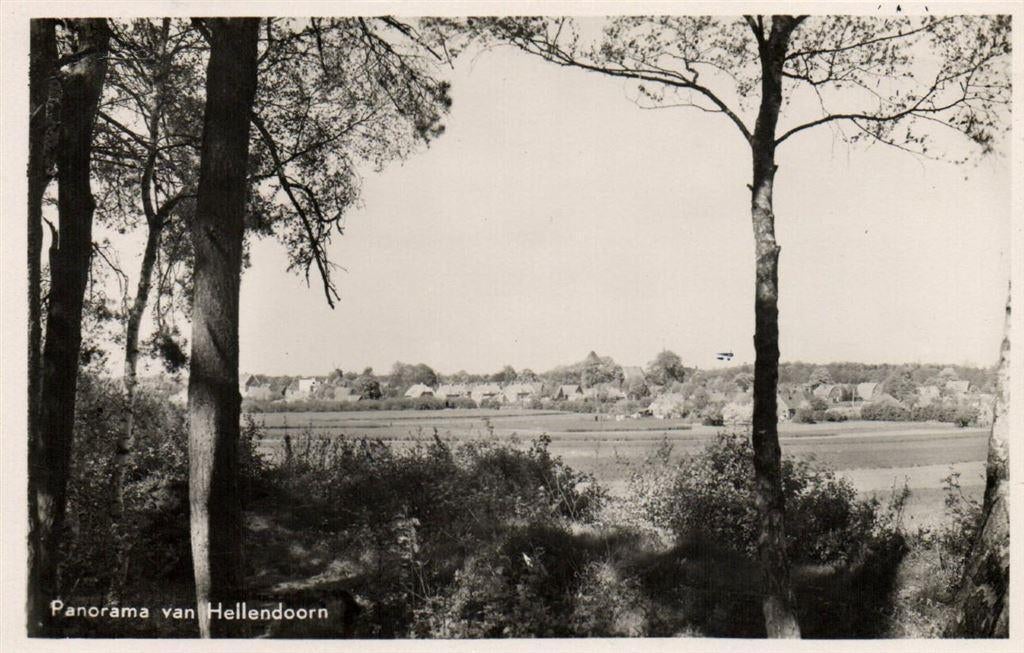 Panorama van Hellendoorn - gezicht op - 1950 gelopen, Ophalen of Verzenden, Voor 1920, Gelopen, Overijssel