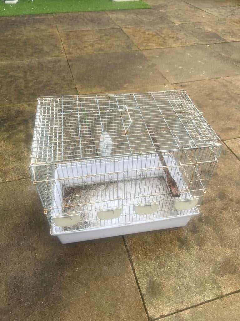 vogelkooi, Dieren en Toebehoren, Vogels | Hokken en Kooien, Ophalen, Gebruikt, Metaal, Vogelkooi