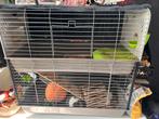 Caviahok 2 verdiepingen, Dieren en Toebehoren, Ophalen, Zo goed als nieuw, 90 cm of meer, Hok
