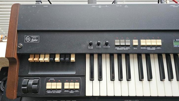 Hammond XB-1, Muziek en Instrumenten, Orgels, Gebruikt, Hammondorgel, 1 klavier, Ophalen