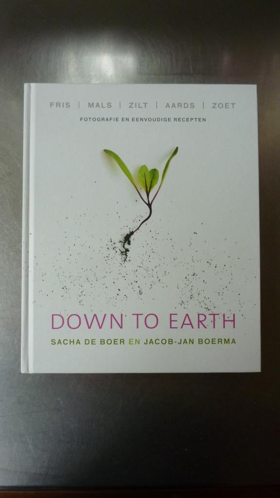Down to Earth - Sacha de Boer & Jacob Jan Boerma, Ophalen of Verzenden, Zo goed als nieuw