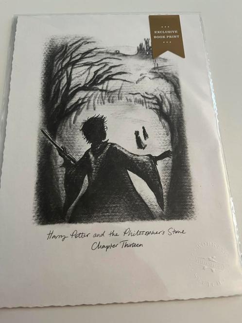 Harry Potter Exclusive Bookprints, Antiek en Kunst, Kunst | Litho's en Zeefdrukken, Ophalen of Verzenden
