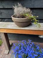 Terra-cotta schaal, Tuin en Terras, Steen, Minder dan 30 cm, Minder dan 60 cm, Rond