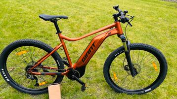 Luxe gave goede MTB E-bike Giant Talon E, maat XL 29” beschikbaar voor biedingen
