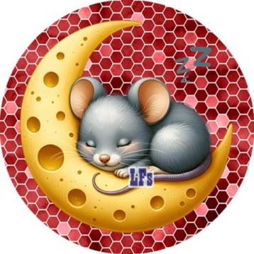 LF3995 ouwel muis kaas maan 20x4,7cm eetbare rondjes vers beschikbaar voor biedingen