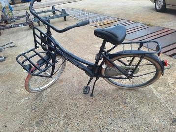 Cortina U4 (24 inch) beschikbaar voor biedingen