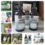 Ontworming hond/kat, Ophalen of Verzenden, Nieuw