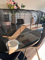 Hamsterkooi en accessoires, Kooi, Minder dan 75 cm, Zo goed als nieuw, Hamster