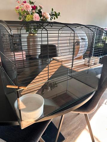 Hamsterkooi en accessoires beschikbaar voor biedingen