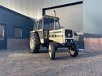 Lamborghini 654 tractor - landbouw same Deutz, Gebruikt, Overige merken