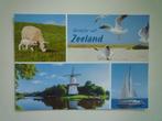 Grote kaart groeten uit Zeeland molen schaap schapen, Verzenden, Zeeland