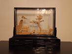 Groot Chinees diorama (San You), Antiek en Kunst, Kunst | Niet-Westerse kunst, Ophalen