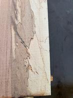 Zeer mooie grote boomstam bladen, Doe-het-zelf en Verbouw, Hout en Planken, Verzenden, Nieuw, 250 tot 300 cm, Plank