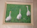 Acryl, ganzen in de wei 30x40 cm met lijst, Antiek en Kunst, Ophalen