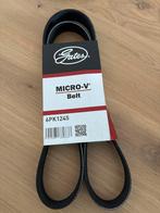 Gates Micro-V Belt 6PK1245 - Nieuw, Ophalen of Verzenden, Nieuw, Universele onderdelen