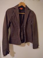 Korte jasje / blazer bruin, maat 36-38, merk Fashion Studio, Bruin, Ophalen of Verzenden, Zo goed als nieuw, Jasje