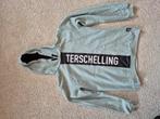 Hoodie Terschelling maat 164 kleur grijs/ groen, Kinderen en Baby's, Ophalen of Verzenden, Zo goed als nieuw, Jongen of Meisje